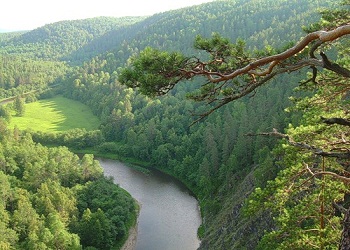 Природа с высоты птичьего полета